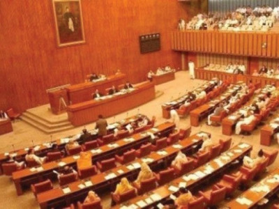 pml n pti senators spat over donkey remark