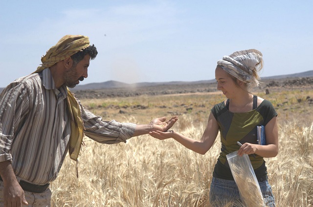 amaia arranz otaegui a university of copenhagen postdoctoral researcher in archaeobotany and ali shakaiteer a local assistant to researchers working at an archeological site in the black desert in northeastern jordan are seen collecting wheat in this image provided july 16 2018 photo reuters