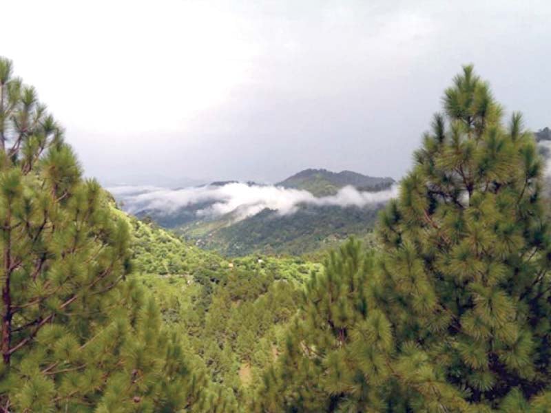 margalla hills photo file