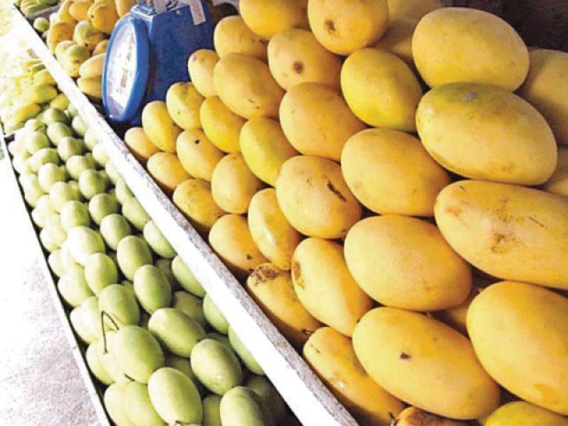 the quantity of mango used in pulp production stands at 320 000 tons in punjab alone photo file