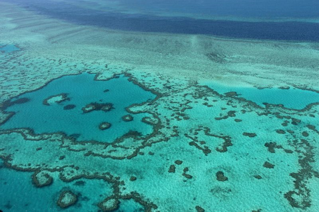 the great barrier reef has been battered by bleaching caused by rising sea temperatures photo afp