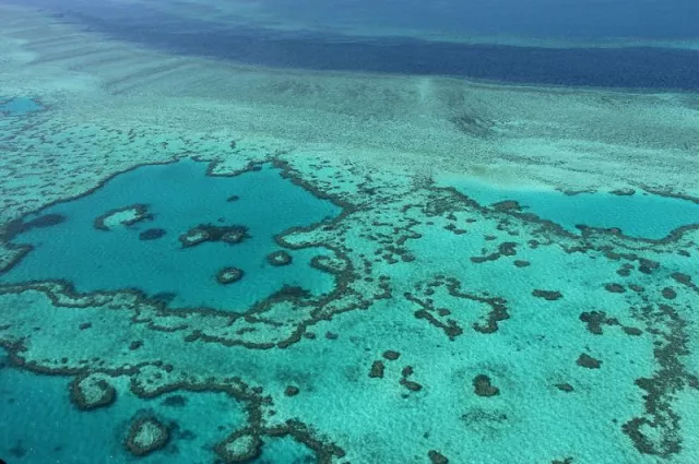 the great barrier reef has been battered by bleaching caused by rising sea temperatures photo afp the great barrier reef has been battered by bleaching caused by rising sea temperatures photo afp