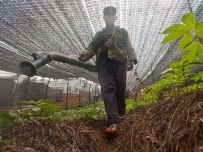 department of plant protection operates with contractual dg