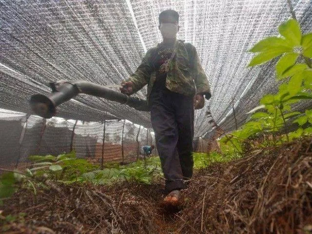 the pesticide industry worth rs60 billion was totally dependent upon the department photo afp the pesticide industry worth rs60 billion was totally dependent upon the department photo afp