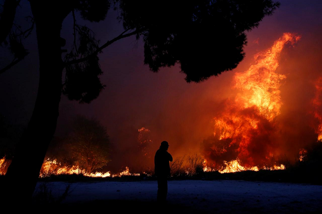 rescuers search fire devastated greek areas as toll hits 81 photo reuters