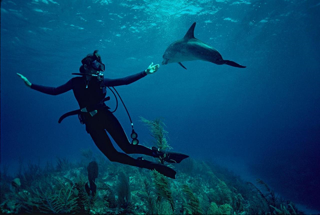 untouched ocean habitats rapidly shrinking photo reuters untouched ocean habitats rapidly shrinking photo reuters