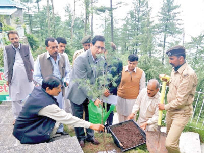 go green minister plants tree in murree go green minister plants tree in murree