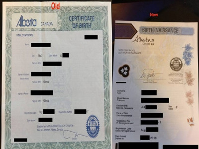 canadian man changes sex to avail cheaper car insurance canadian man changes sex to avail cheaper car insurance