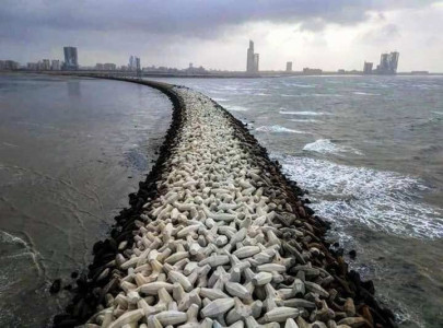oyster rocks newly discovered safety wall becomes risky picnic spot for karachiites oyster rocks newly discovered safety wall becomes risky picnic spot for karachiites