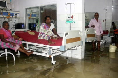 fish found floating in india hospital as rains claim 80 lives