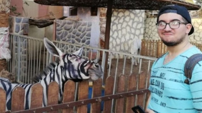 zoo paints donkey to look like a zebra in egypt zoo paints donkey to look like a zebra in egypt
