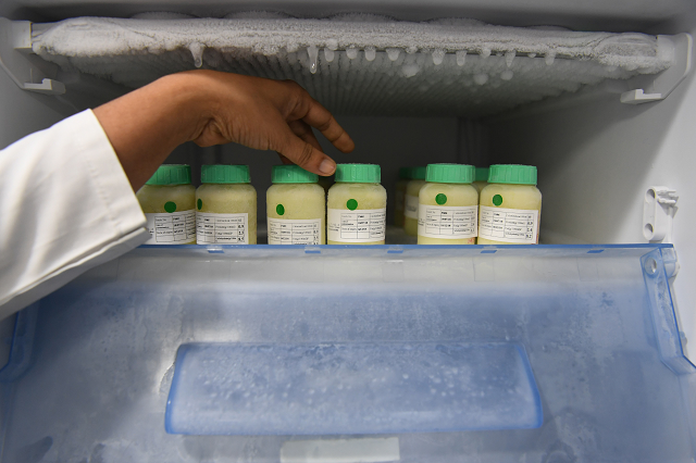 a nurse arranging bottles containing breast milk at fortis la femme hospital in new delhi photo afp a nurse arranging bottles containing breast milk at fortis la femme hospital in new delhi photo afp