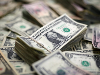 govt urged to offer incentives for fdi