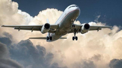 india s dg civil chided for airlines dropping poop midair india s dg civil chided for airlines dropping poop midair