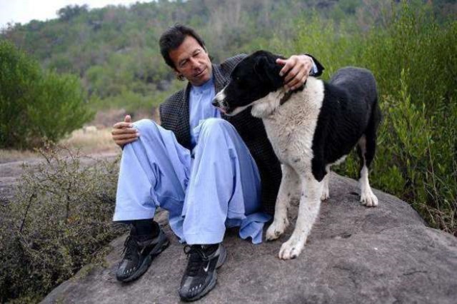 imran khan s pet dogs get wikipedia page