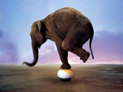 and in this act of balance we learn to live