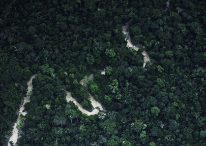 brazil cuts deforestation emissions below 2020 targets brazil cuts deforestation emissions below 2020 targets