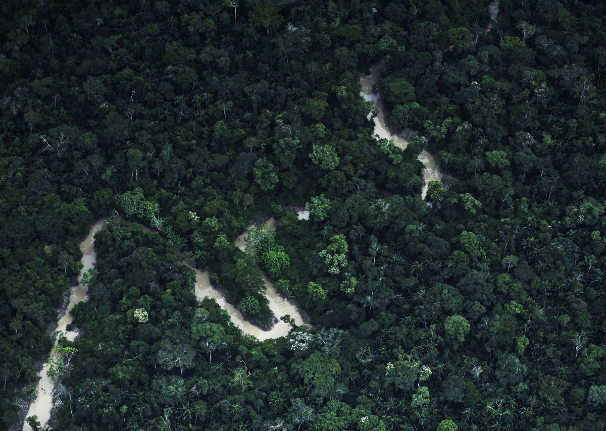 brazil cuts deforestation emissions below 2020 targets photo reuters