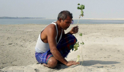 man transforms barren island by planting a tree everyday for 39 years