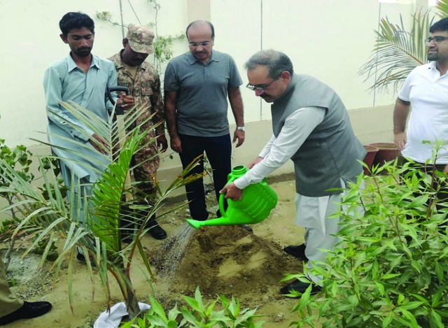 balochistan chief secretary dr akhter nazeer waters a plant after planting it at the gda hospital in gwadar photo express