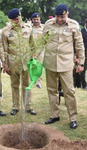 army to plant 10m saplings in current season army to plant 10m saplings in current season