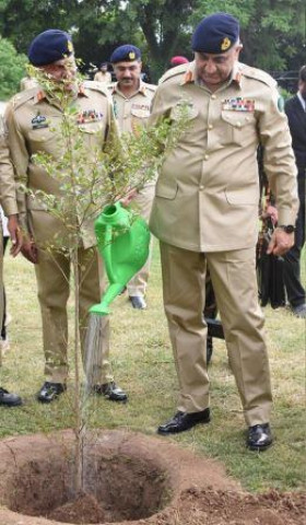 coas gen qamar javed bajwa waters the sapling during the plantation drive in rawalpindi photo express