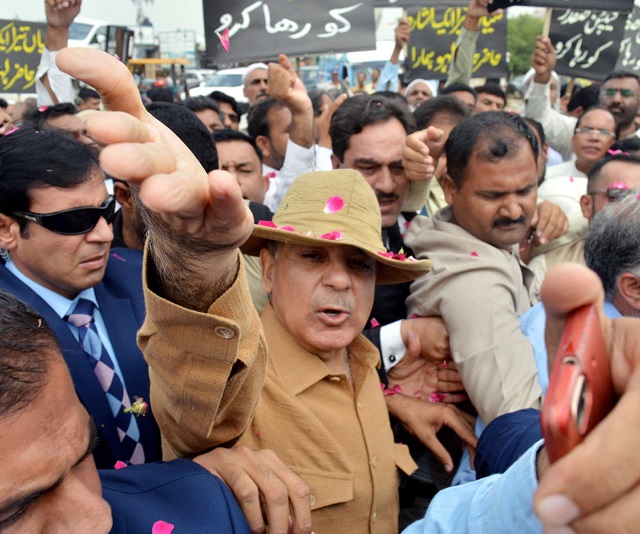 shehbaz sharif during a pml n protest in islamabad on wednesday photo ppi