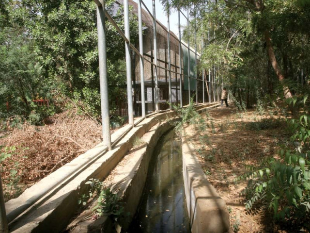 file photo of a water channel in safari park photo file file photo of a water channel in safari park photo file