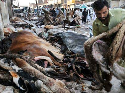 transgender people can t collect hides on eidul azha transgender people can t collect hides on eidul azha
