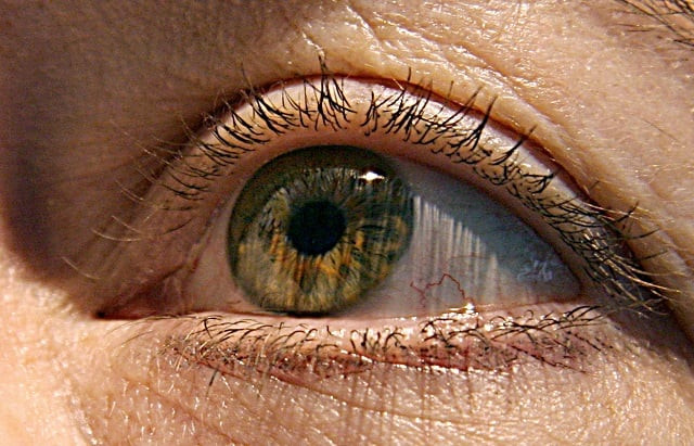 this file photo taken on april 24 2007 shows a close up view of a woman 039 s eye in washington dc   advances in eye exam technology could one day help doctors diagnose people with alzheimer 039 s disease long before symptoms appear photo afp