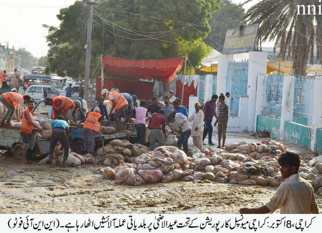 workers collecting offal photo file workers collecting offal photo file