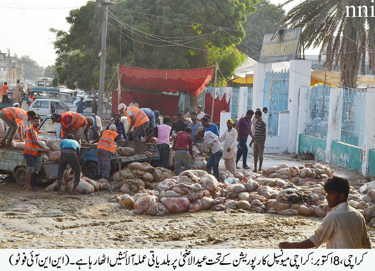 workers collecting offal photo file