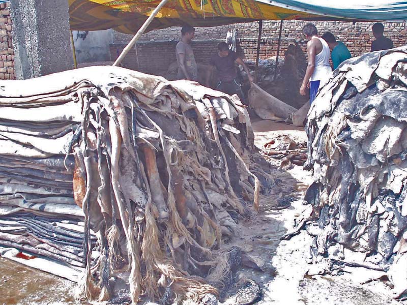workers pile collected hides of sacrificial animals while men stand outside an illegal hides warehouse in rawalpindi photo agencies