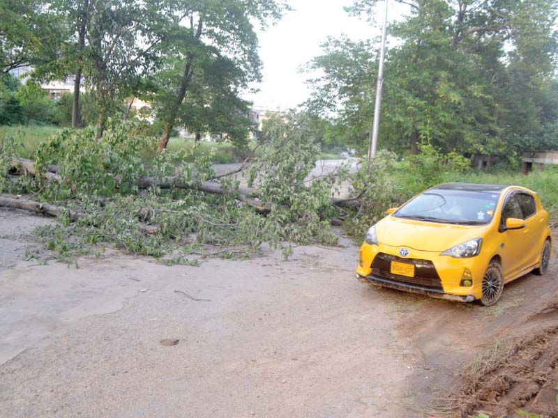 trees that fell during the storm on friday night have blocked the gulshane jinnah road in islamabad photo waseem nazir express