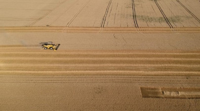 millions risk malnutrition as co2 levels climb millions risk malnutrition as co2 levels climb