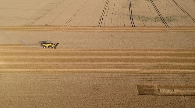 rising levels of carbon dioxide in the air threaten to sap wheat rice and other staple grains of valuable nutrients raising the spectre of mass malnutrition researchers warn photo afp