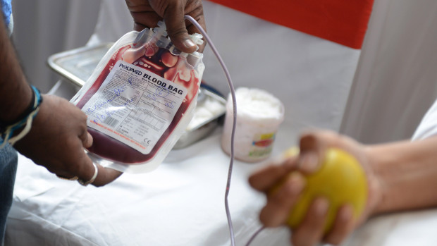 88 blood deposits come from family friends says ibta report photo afp