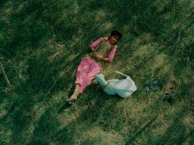 screengrab screengrab