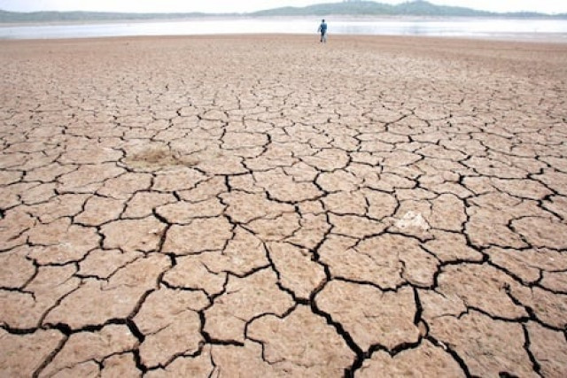 167 dehs of thar have been affected by drought photo afp file