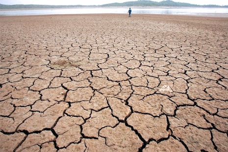 167 dehs of thar have been affected by drought photo afp file