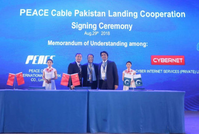 peace cable international network signs agreement with cybernet and djibouti telecom