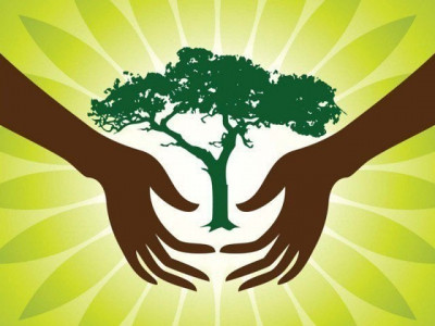 acca joins campaign to plant 1 5 million trees acca joins campaign to plant 1 5 million trees