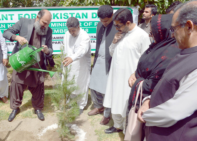 balochistan chief minister jam kamal khan plants and waters a sapling at the cm secretariat in quetta photo express