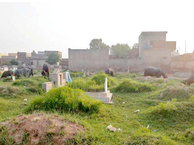 highlighting issues sanctity compromised miani graveyard in deplorable condition highlighting issues sanctity compromised miani graveyard in deplorable condition