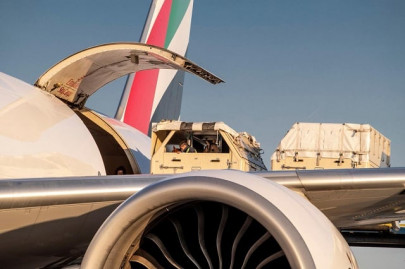 emirates flies 67 horses as largest ever air horse charter begins