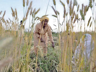 farmers to benefit as govt plans to declare agri emergency farmers to benefit as govt plans to declare agri emergency