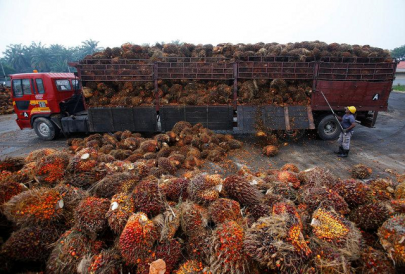 indonesia to hold palm oil exhibition indonesia to hold palm oil exhibition