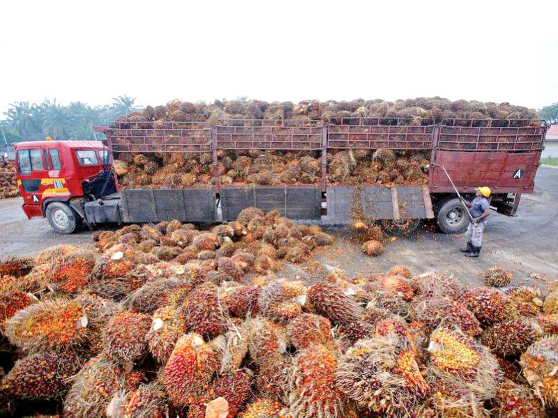 pakistan offered a logistics route for indonesian investors who could not only tap the local market but also capitalise on the export potential of pakistan by using the economic corridor amri said photo reuters