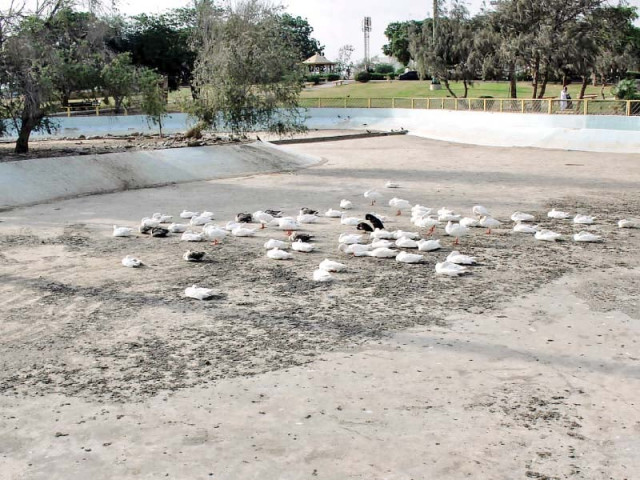 hill park s most popular attraction a lake in the centre has all but dried up due to the lethargy of the karachi metropolitan corporation leaving dehydrated and weary ducks to fend for themselves photos athar khan express hill park s most popular attraction a lake in the centre has all but dried up due to the lethargy of the karachi metropolitan corporation leaving dehydrated and weary ducks to fend for themselves photos athar khan express