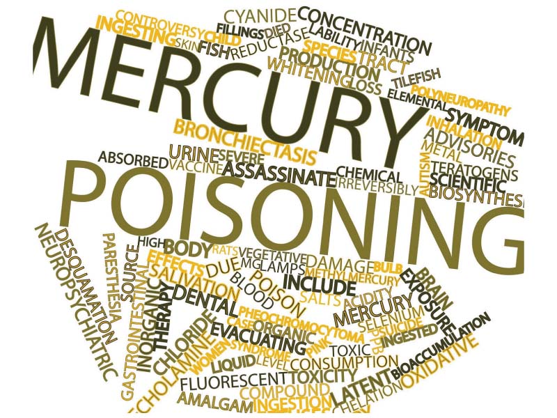 increasing awareness experts warn too much seafood can cause mercury poisoning